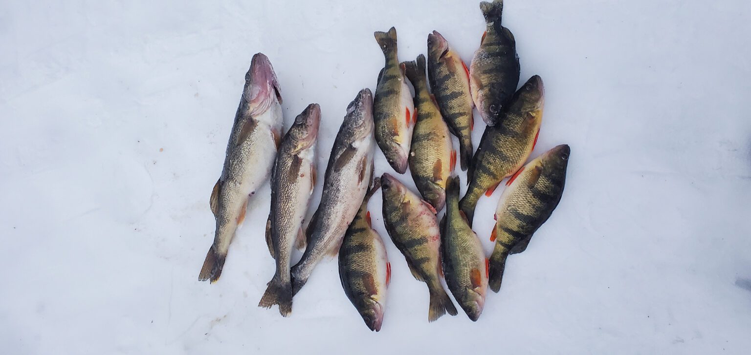 Ice Fishing On Oneida Lake Reel Naturalz Guide Service